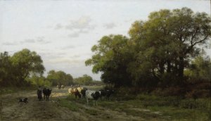 Krajobraz w Drenthe