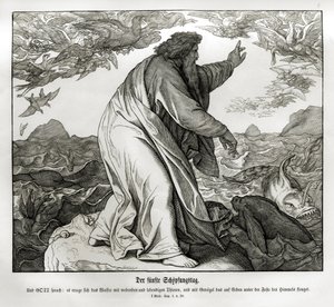 Piąty dzień stworzenia, Genesis autorstwa Julius Schnorr von Carolsfeld