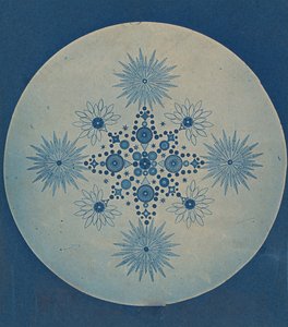 [Okrzemki Okrzemkowe], ok. 201 1870. autorstwa Julius Wiesner.