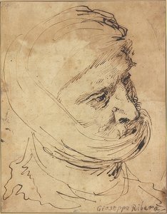 Głowa brodata, wiązana pod brodą szmatką autorstwa Jusepe de Ribera