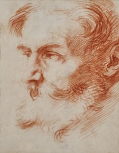 Głowa brodatego mężczyzny autorstwa Jusepe de Ribera
