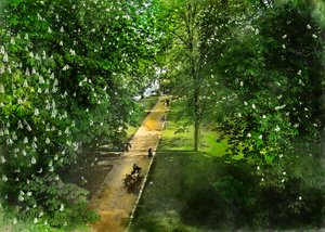 Ścieżka w Spring Park autorstwa Justyna Jaszke