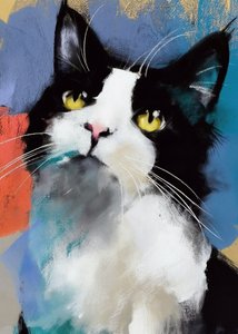 Żywy kot rasy Tuxedo autorstwa Justyna Jaszke