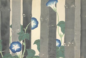 Asagao, z Momoyo-gusa