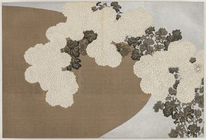 Kwiaty stu światów (Momoyogusa): Chryzantemy (Momoyogusa) autorstwa Kamisaka Sekka