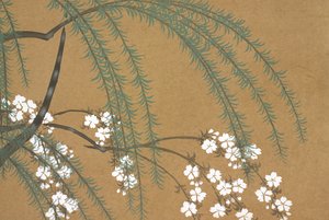 Sakura Yanagi, fromomoyogusa