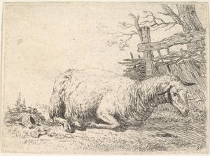 Owca leżąca z nogami podwiniętymi pod ciałem przy drewnianym płocie, ona…, ca. 1655.