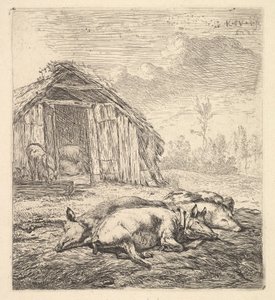 Trzy świnie leżące na bokach, chlew i koryto za nim, 1652.