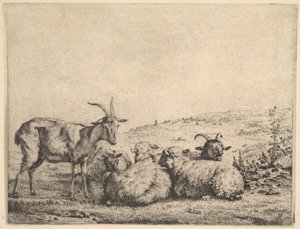 Dwie kozy i trzy owce, 1655. autorstwa Karel Du Jardin