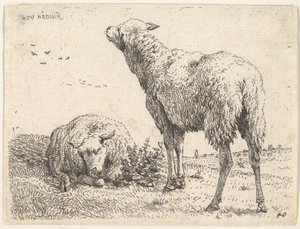 Dwie owce, jedna pokazana z przodu w pozycji półleżącej ze złożonymi nogami..., ca. 1655. autorstwa Karel Du Jardin