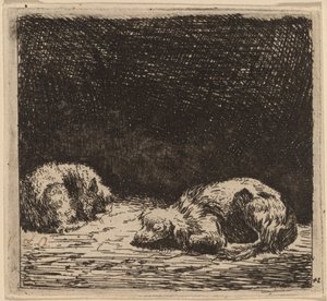 Pies i kot autorstwa Karel Dujardin