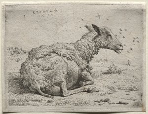 Owce i muchy autorstwa Karel Dujardin