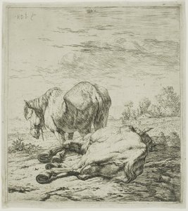Dwa konie autorstwa Karel Dujardin