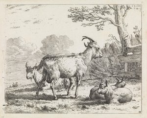  autorstwa Karel Dujardin