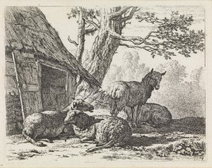  autorstwa Karel Dujardin
