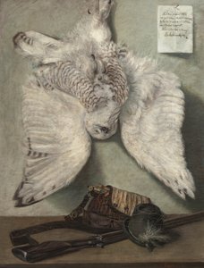 Snowy Owl autorstwa Karel Purkyne