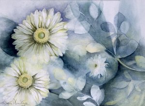 Gerbera Jamemura Dobra autorstwa Karen Armitage
