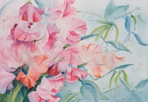 Lathyrus Odoratus, Groszek (poziomo) autorstwa Karen Armitage
