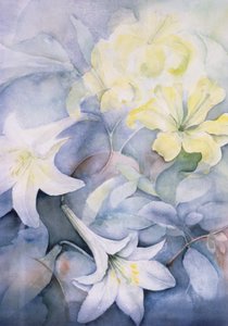 Lilium, Hearts Desire i Imperiale autorstwa Karen Armitage