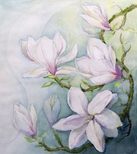 Magnolie (wc) autorstwa Karen Armitage