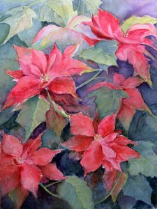 Poinsecja autorstwa Karen Armitage