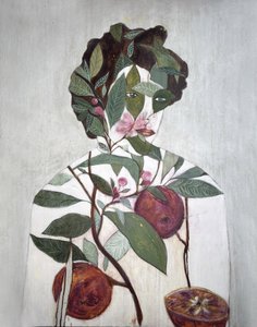 Ilustracja botaniczna z pomarańczami autorstwa Karenina Fabrizzi