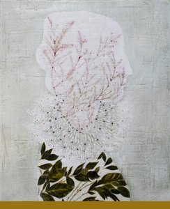 Opis botaniczny autorstwa Karenina Fabrizzi