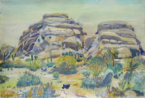 Krajobraz w Parku Narodowym Joshua Tree