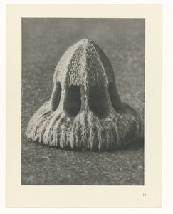 Badania roślin Archetypy sztuki: fotograficzne wizerunki roślin (tytuł serii) autorstwa Karl Blossfeldt