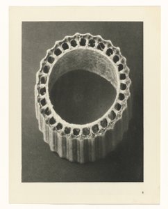 Badania roślin Archetypy sztuki: fotograficzne wizerunki roślin (tytuł serii) autorstwa Karl Blossfeldt