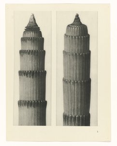 zaplanuj naukę Archetypy sztuki (tytuł serii) autorstwa Karl Blossfeldt