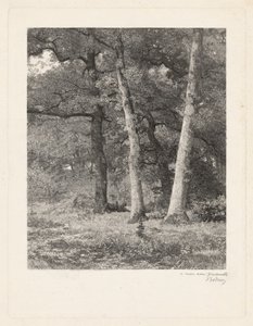 Leśna polana autorstwa Karl Bodmer