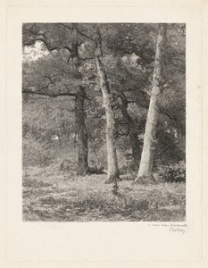 autorstwa Karl Bodmer