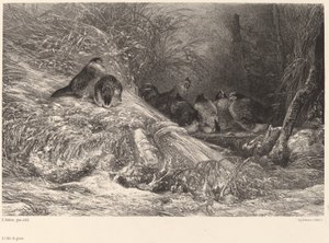 Chroniony przed mrozem. autorstwa Karl Bodmer