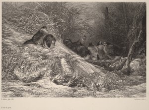 Zabezpieczone przed mrozem autorstwa Karl Bodmer