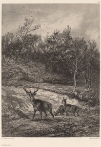 Na brzegu. autorstwa Karl Bodmer