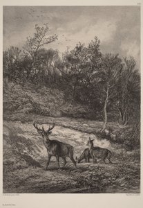  autorstwa Karl Bodmer
