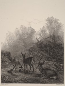  autorstwa Karl Bodmer