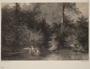  autorstwa Karl Bodmer