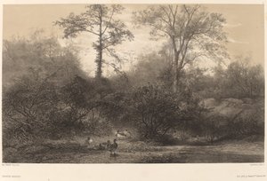 Dzikie kaczki. autorstwa Karl Bodmer