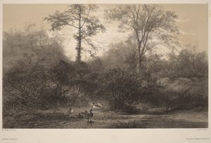  autorstwa Karl Bodmer