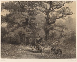 Jeleń w Gagnage autorstwa Karl Bodmer