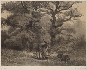  autorstwa Karl Bodmer