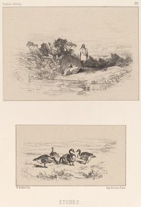 Studia autorstwa Karl Bodmer