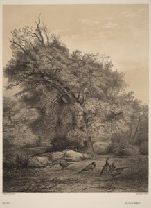  autorstwa Karl Bodmer