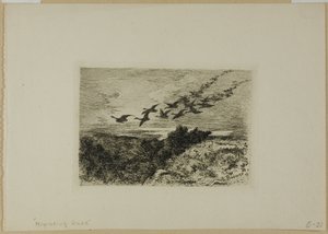 Latające gęsi autorstwa Karl Bodmer