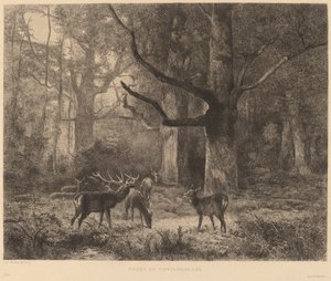 Las Fontainebleau autorstwa Karl Bodmer
