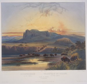 Stado żubrów na Górnym Missouri autorstwa Karl Bodmer