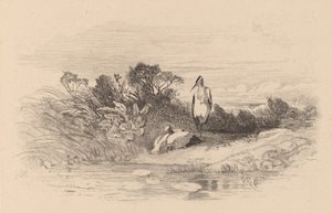 Czaple. autorstwa Karl Bodmer