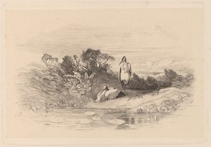 Czaple autorstwa Karl Bodmer